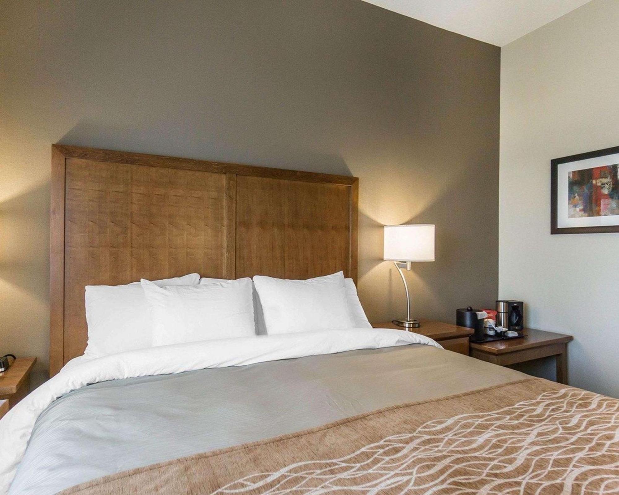 ניסקו Comfort Inn & Suites Edmonton International Airport מראה חיצוני תמונה