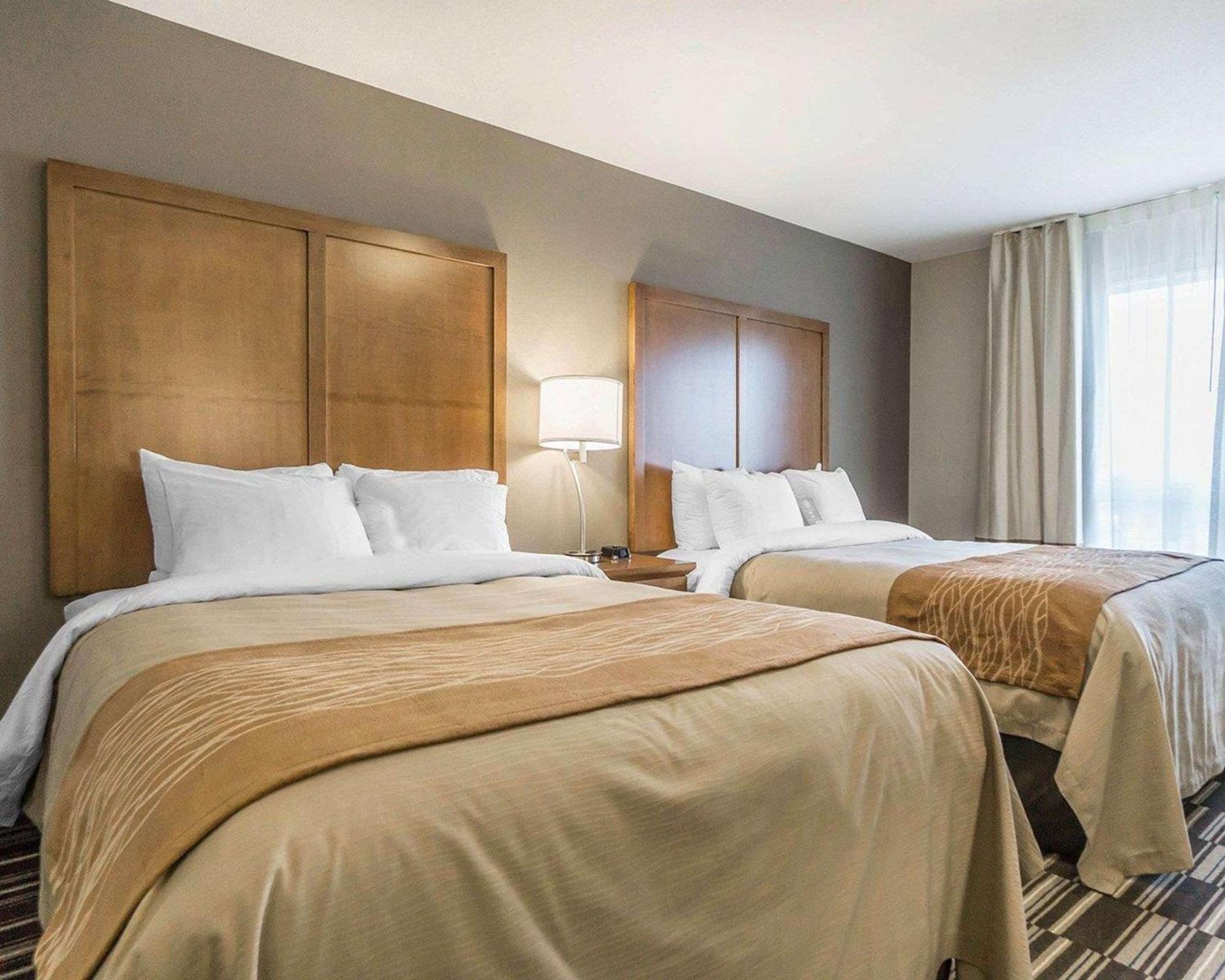 ניסקו Comfort Inn & Suites Edmonton International Airport מראה חיצוני תמונה