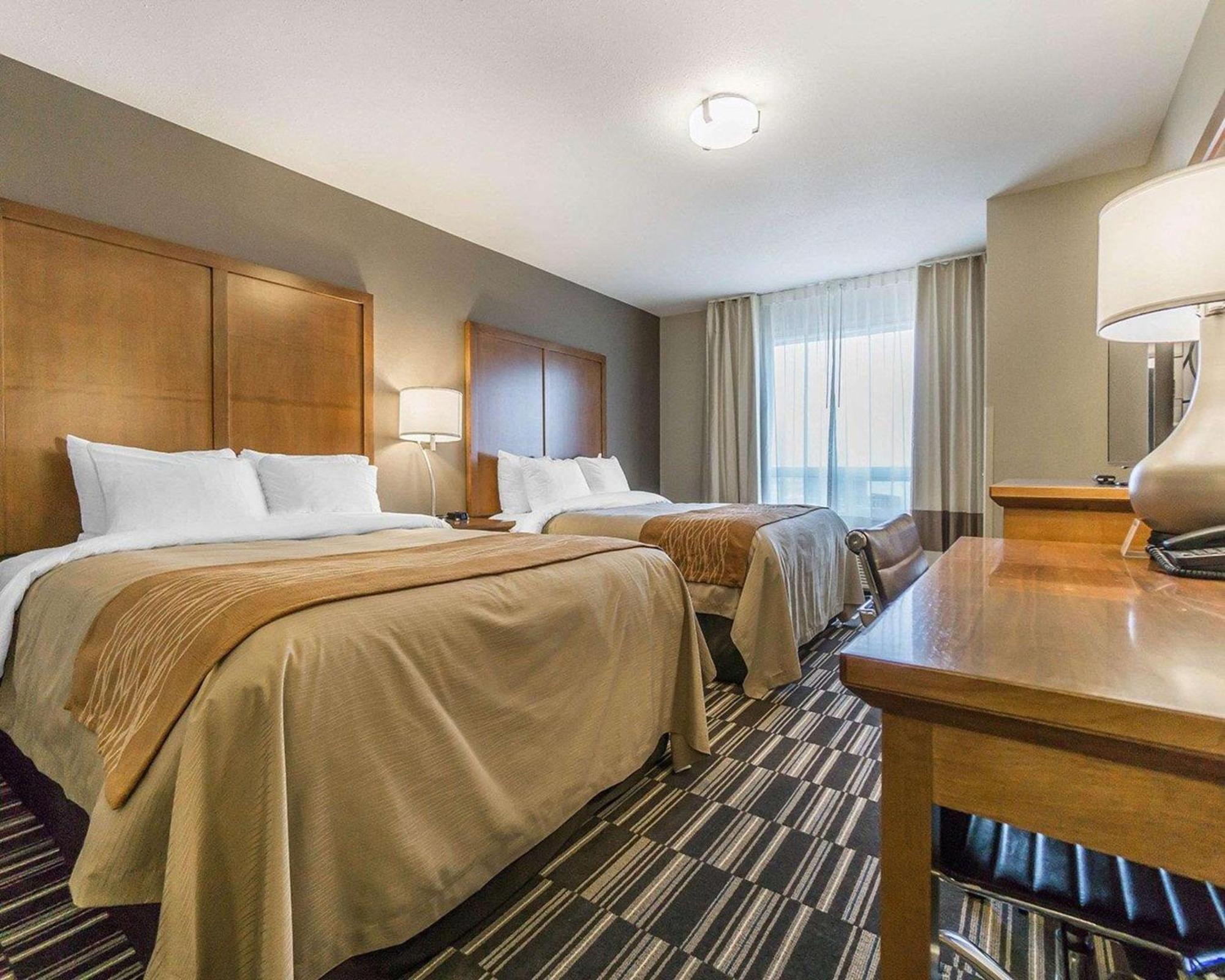 ניסקו Comfort Inn & Suites Edmonton International Airport מראה חיצוני תמונה