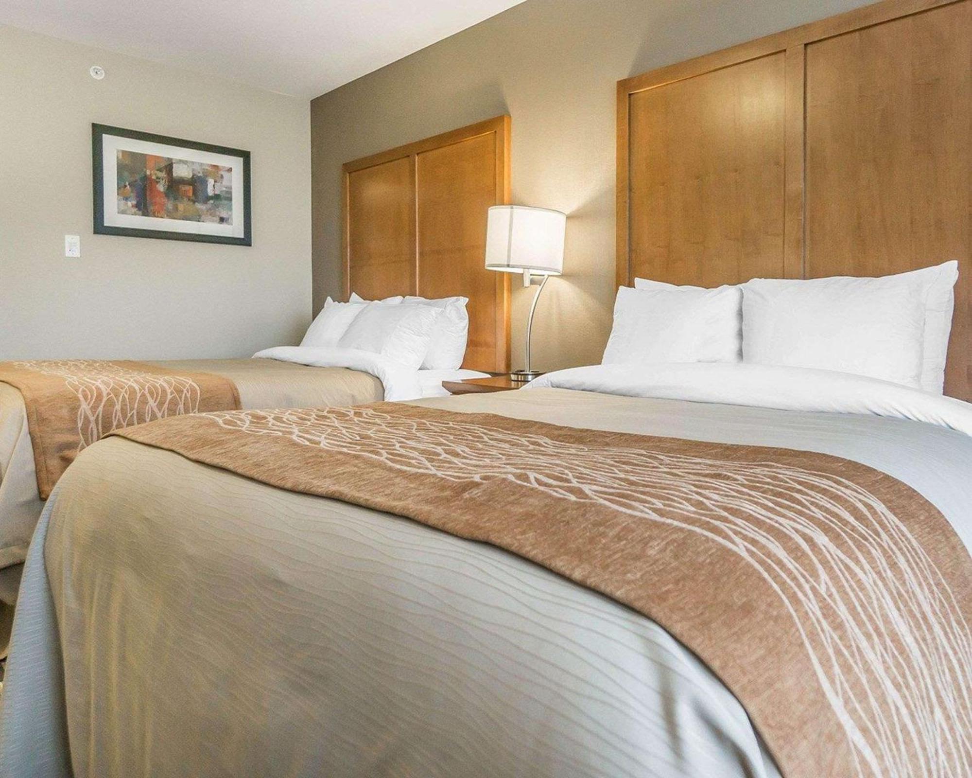 ניסקו Comfort Inn & Suites Edmonton International Airport מראה חיצוני תמונה