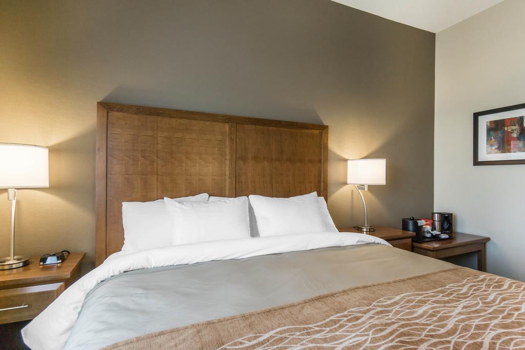 ניסקו Comfort Inn & Suites Edmonton International Airport מראה חיצוני תמונה